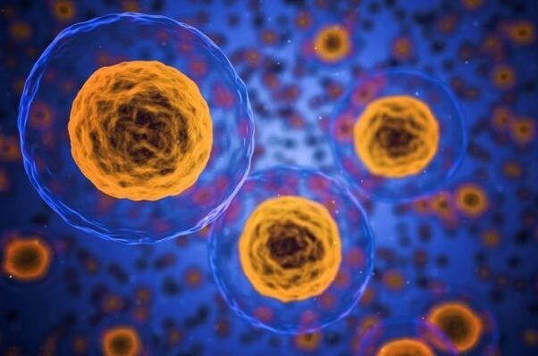 Jak probíhá proces hubnutí